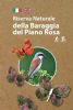 Riserva Naturale della Baraggia del Piano Rosa