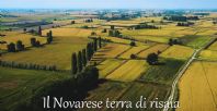 Novara terra di risaia